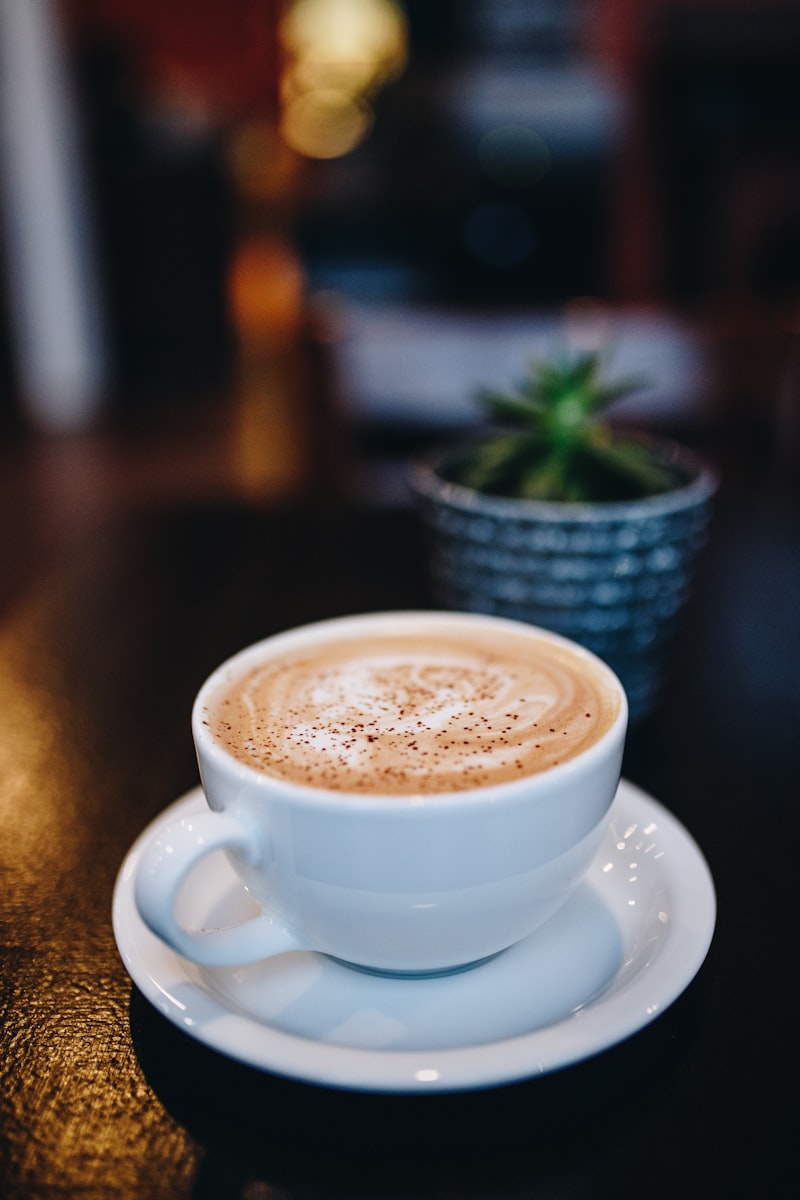 カプチーノと観葉植物