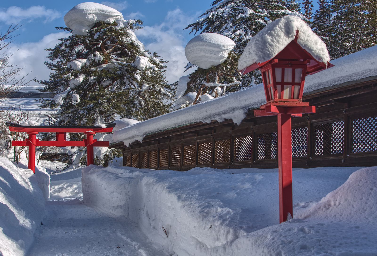 冬・雪化粧の松と庭